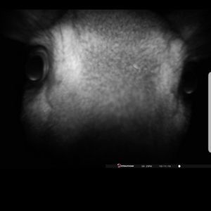 Meet your Posher, Danny